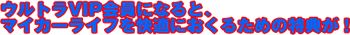 ����ȥ�VIP����ˤʤ�ȡ��ޥ������饤�դ��Ŭ�ˤ����뤿�����ŵ����